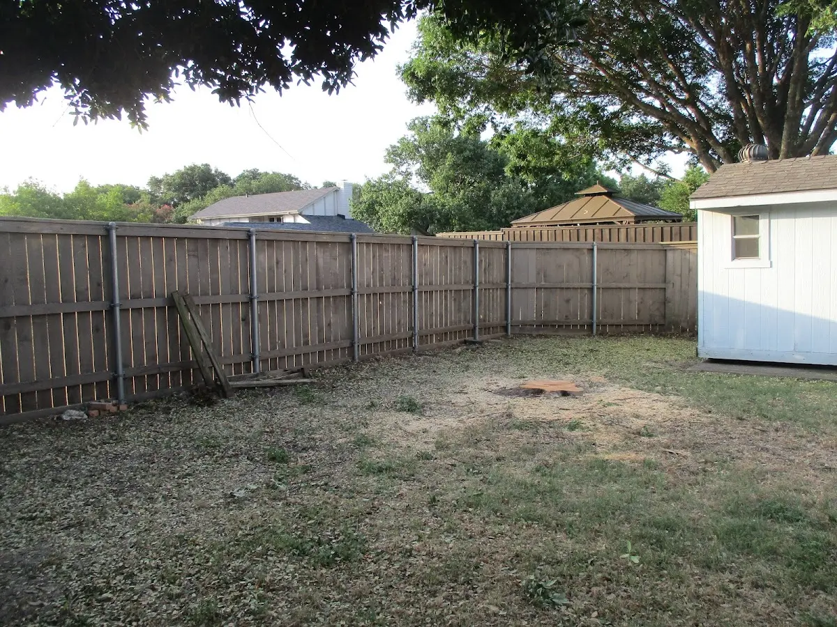 Cleared yard after professional tree removal in Port Royal